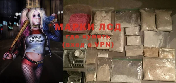 ПСИЛОЦИБИНОВЫЕ ГРИБЫ Баксан